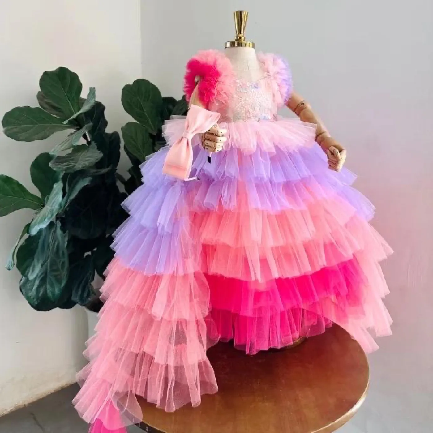 Ombre Tulle Princess Dress with Detachable Train